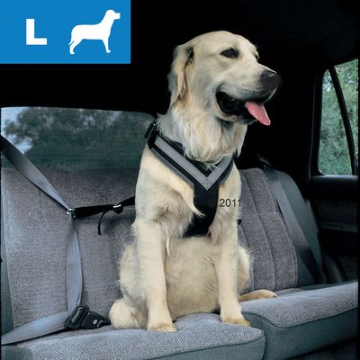 Kleinmetall Allsafe Sicherheitsgurt, Groesse L - fuer grosse Hunde