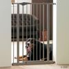 Absperrgitter Dog Barrier