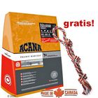 Acana 13,5 kg + doppia corda multicolore gratis!