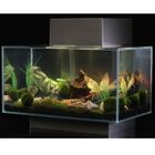Acuario Fluval Edge 25 litros