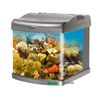 Acuario Karlie Focus 25
