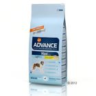 Advance Maxi Light pour chien