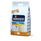 Advance Mini Adult