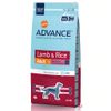 Affinity Advance Cordero y arroz