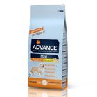 Affinity Advance Maxi Adult
