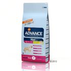 Affinity Advance Maxi Senior