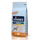Affinity Advance Medium Adult