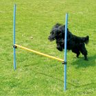 Agility Fun & Sport Hürde
