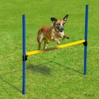 Agility Hurdle Set
