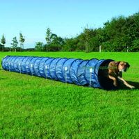 Agility Tunnel Agility Tunnel