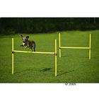 Agility Zestaw przeszkód