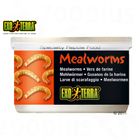 Aliment pour reptiles Hagen Exo Terra Mealworms