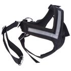 Allsafe Dog Safety Belt