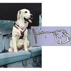 Allsafe Dog Safety Belt