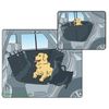 Allside Protective Car Sheet