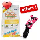 Almo Nature Holistic 12 kg + jouet Kong Kickeroo offert