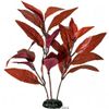 Alternanthera: planta acuatica artificial