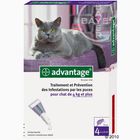 Antiparasitaire Advantage 80 pour chat de plus de 4 kg