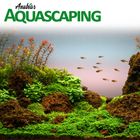 Anubias Aquascaping Pflanzenset