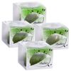 Anubias Linea Cup Wasserpflanzen 