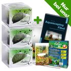 Anubias Naturaquarium Set inkl. Aquascaping Fibel