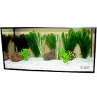 Aquariaplanten Zooplants goudvis in het water