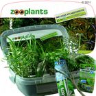 Aquarienpflanzen Zooplants 