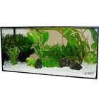 Aquarienpflanzen Zooplants 