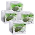 Assortiment de plantes Anubias Linea Cup 