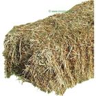 Balle di paglia JR Farm