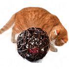 Balle en osier pour chat à la valériane