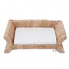Banana Leaf Dog Sofa