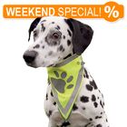 Bandana catarifrangente per cani