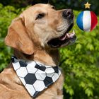 Bandana pour chien spécial football