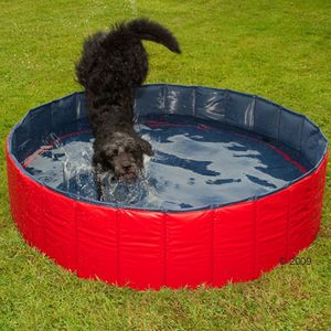 http://media.zooplus.com/bilder/bazn/pro/psa/doggy/pool/1/300/47899_1_doggy_pool_1.jpg