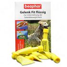 Beaphar Fit Articulaciones en tubo