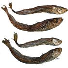 Blue Wittling Dry Fish