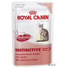 Bouchées pour chat Royal Canin Instinctive en gelée
