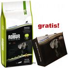 Bozita Robur 12/12,5/15 kg + Borsa da spiaggia gratis!