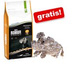 Bozita Robur veľké balenie + hračka Slon zdarma!
