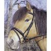 Bridon pour cheval 