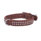 Buffelleren Hondenhalsband Buffalo Strass
