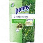Bunny GreenDream Young