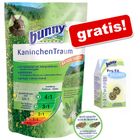 Bunny KaninchenTraum oral