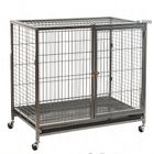 Cage d'intérieur pour chien Tabby II