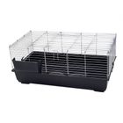 Cage pour lapin et cochon d'Inde Piggy Basic