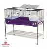 Cage pour lapin et cochon d'Inde Robin 120