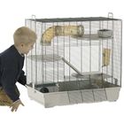 Cage pour rat Tom
