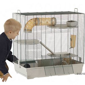 faire rencontrer deux rats