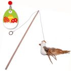 Canne à pêche pour chat  Nature Cat Toy Coq